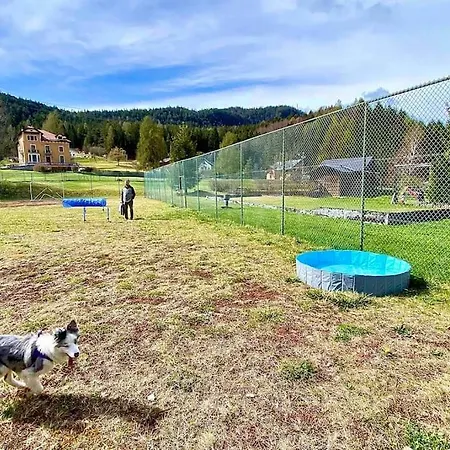 Appartement Relax In Baita Di Montagna! Pieve di Cadore
