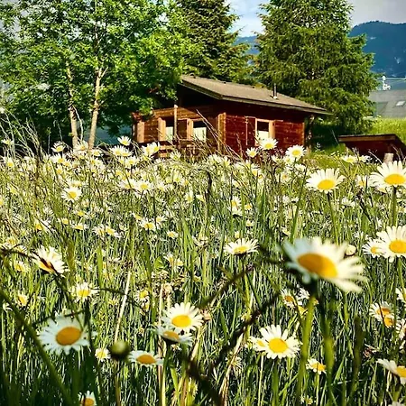 Relax In Baita Di Montagna! * Pieve di Cadore